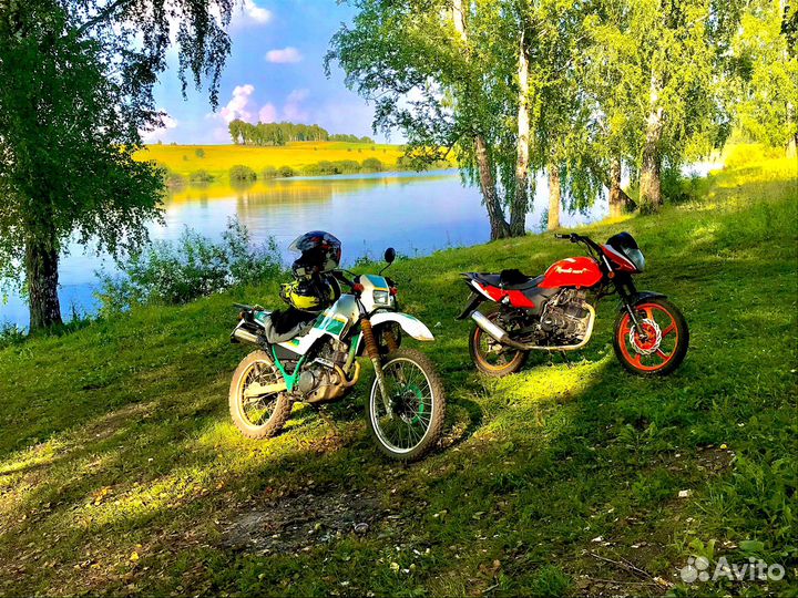 Продам пегас