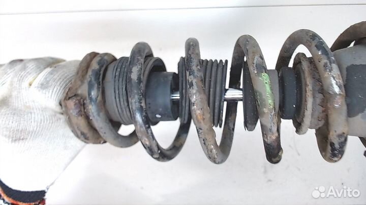 Амортизатор подвески Nissan Primera P12, 2005