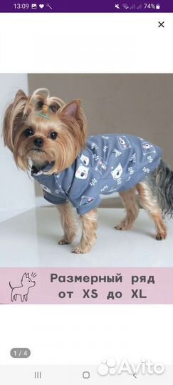 Кофта и куртка/жилетка для маленьких собак