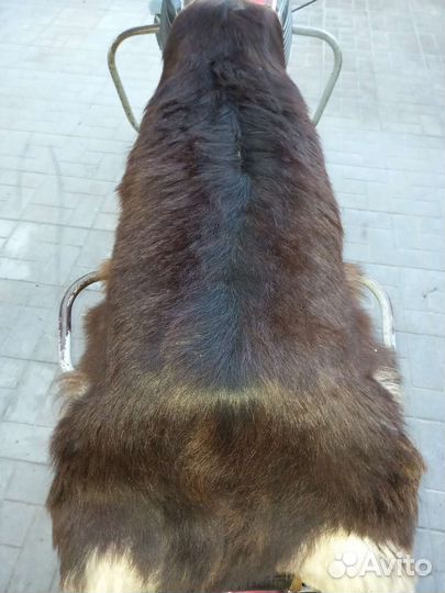 Ява 350 634 6 вольт