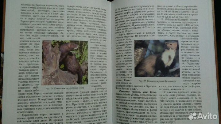 Книга-справочник