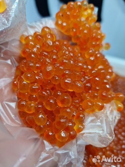 Морепродукты