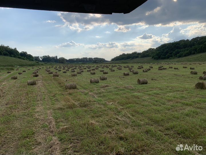 Сено луговое разнотравие,солома ячменная в тюках