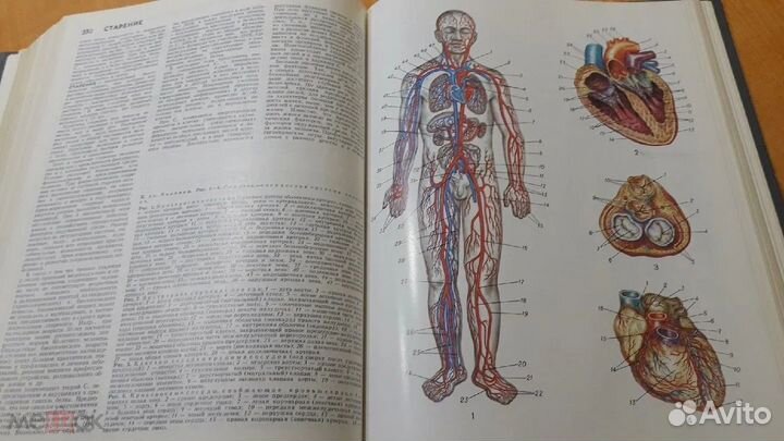 Популярная Медицинская Энциклопедия Петровский 198