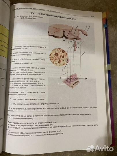 Атлас по гистологии, цитологии и эмбриологии