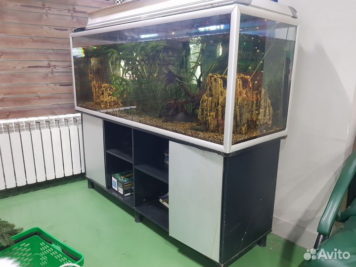 Аквариум