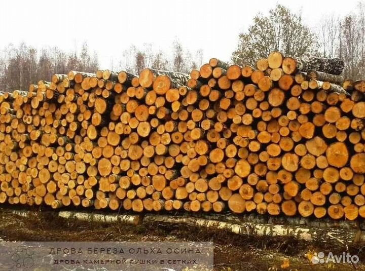 Дрова недокол