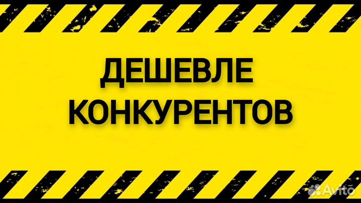 Уничтожение плесени дезинфекция