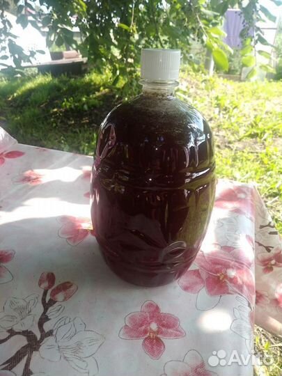 Мёд Алтая от Сухорева Николая