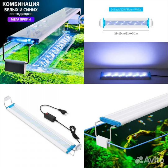 Аквариумистика