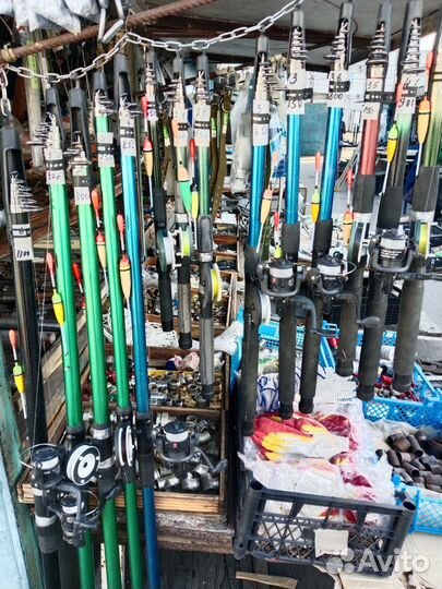 Удочки в сборе