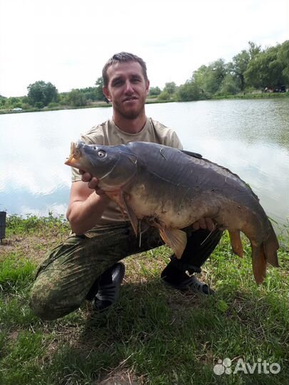 Отдых и рыбалка