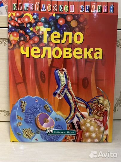 Энциклопедия для детей