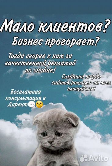 Создание сайтов. Реклама яндекс