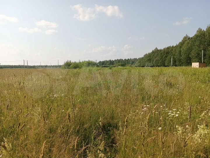 Участок 14 сот. (СНТ, ДНП)