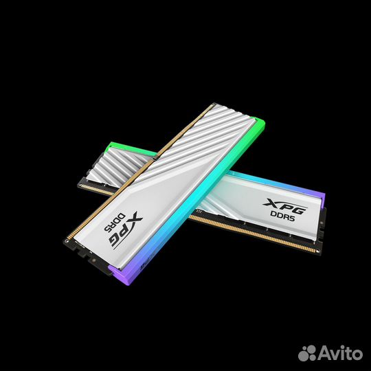 Оперативная память adata DDR5 6400 MHz