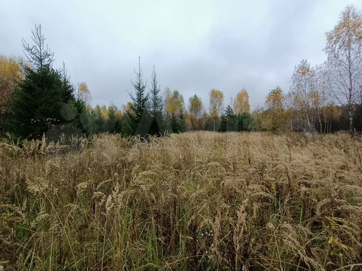Участок 3,94 га (СНТ, ДНП)