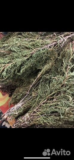 Артыш трава