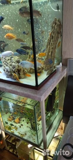 Аквариум 450 л. На стойке из металла. Оборудование