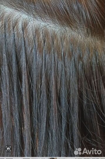 Наращивание волос-загущение