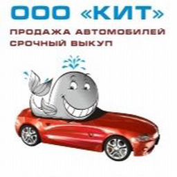 Уральская 120 краснодар. Автосалоны ярославля. Магазин автозапчастей каменск уральский. Магазин автозапчасти китаец г. Логотип автосалона.