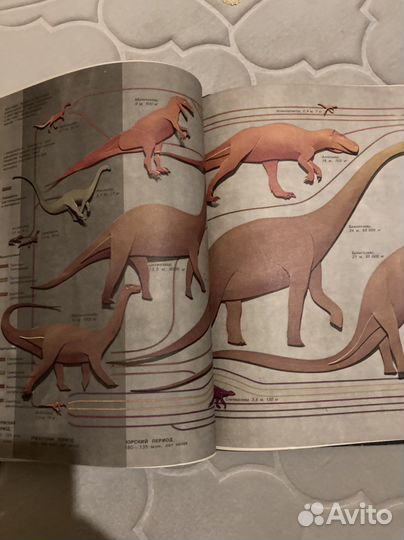 Жизнь до человека Рычкова