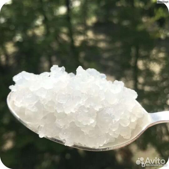 Индийский морской рис