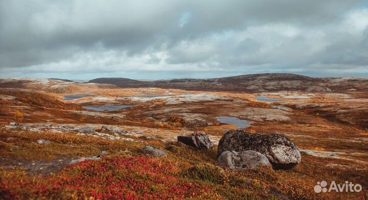 Путешествие в Териберку с детьми