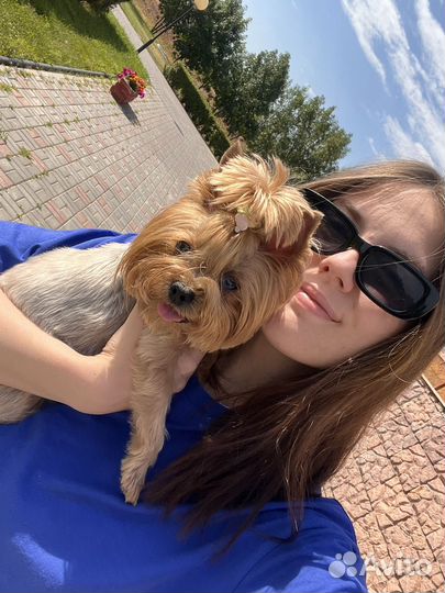 Репетитор по английскому языку