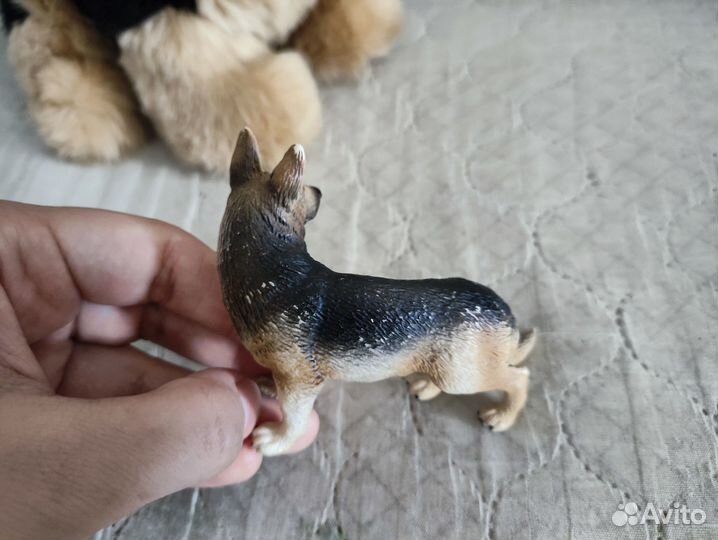 Немецкая овчарка