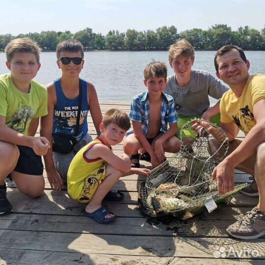 Тёплый бассейн. Беседки с мангалом.Отдых на Волге