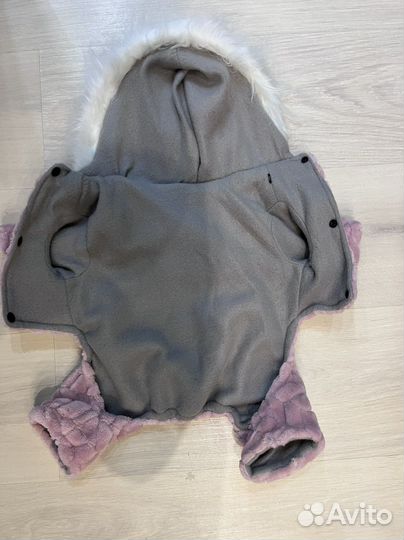 Одежда для собак