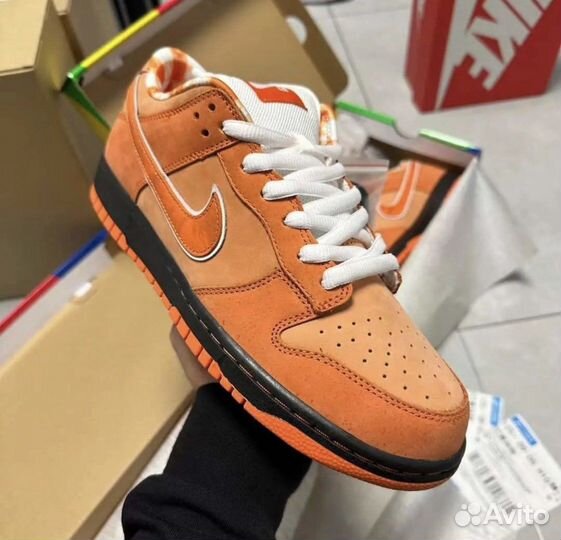 Nike x Concepts SB Dunk Low Orange Lobster