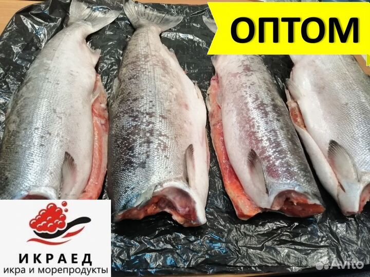 Кета пбг Оптом