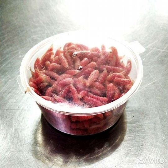 Опарыш(белый, красный).Опарыш 