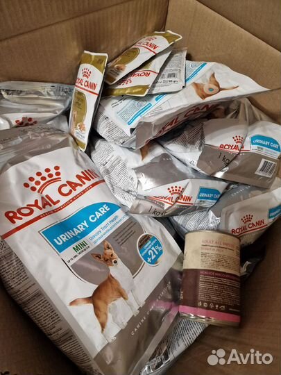 Корм для собак