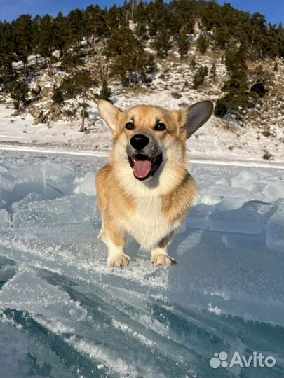 Тур на лед Байкала 
