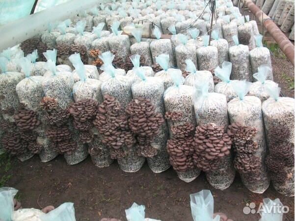 Порадуй себя полезными