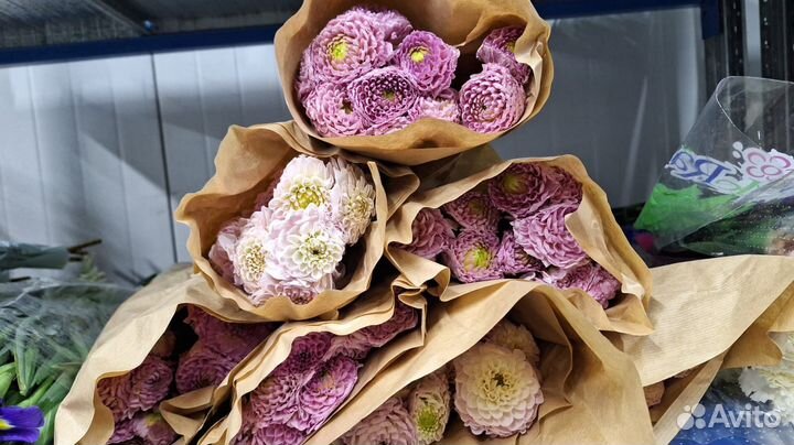 Букет георгинов