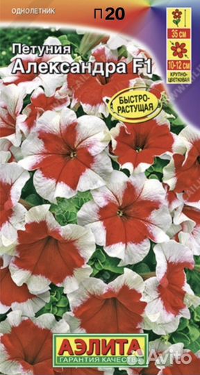 Цветы1. Рассада