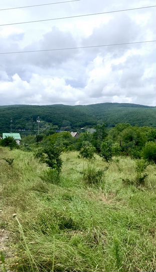 Участок 10 сот. (СНТ, ДНП)