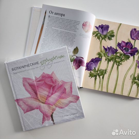 Новая книга 