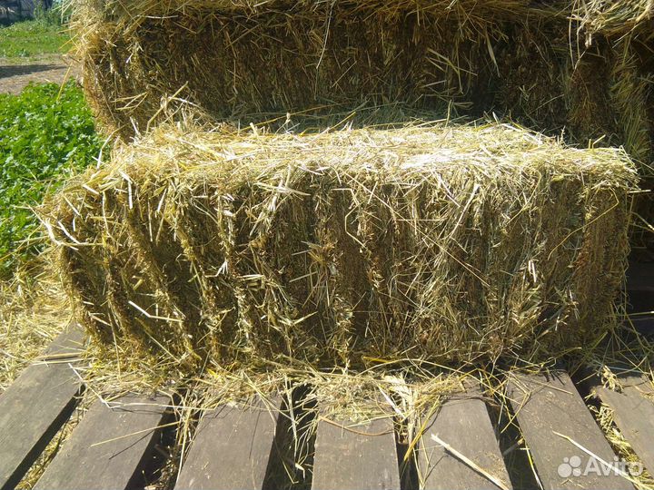 Сено тюки прямоугольные