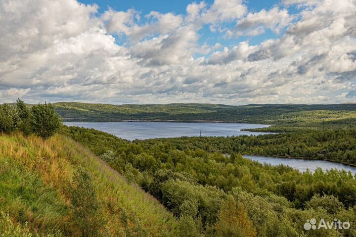 Арктический гектар/ консультации