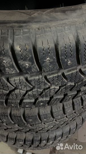 Tigar Sigura Stud 195/65 R15