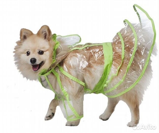 Одежда DogVille дождевик 30830Lд с оборками, на кн