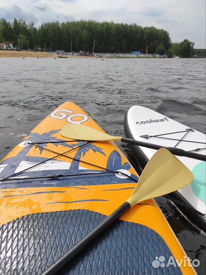 Аренда сапбордов