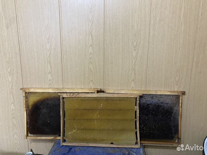 Сушь для пчел