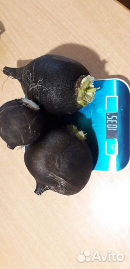 Растения для сада