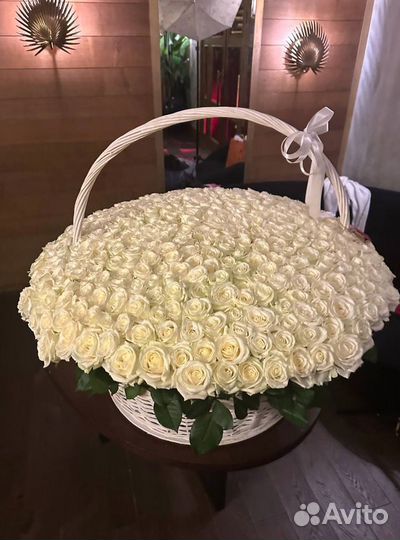 Розы Цветы 25 51 101 Букеты